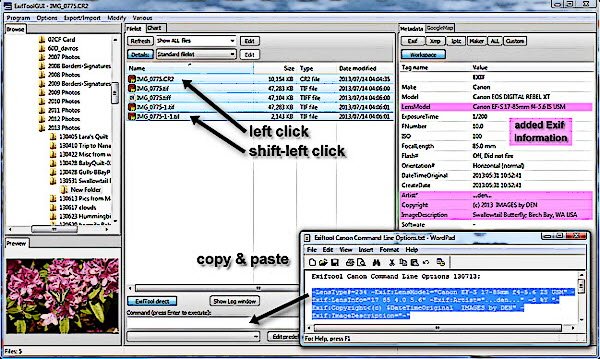 ExifToolGUI and Part 3a Command Line Option set.jpg