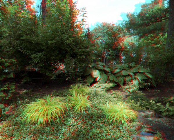 Anaglyph