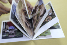 leporello pages fanned out