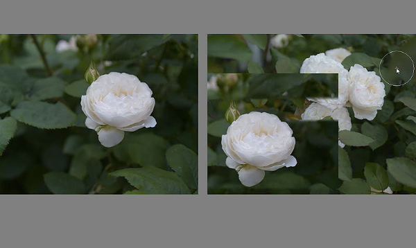 clone_Jun_14-1.jpg