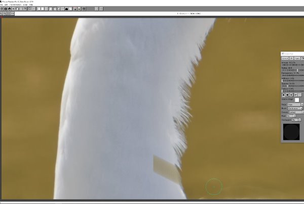 CloneProb2.jpg