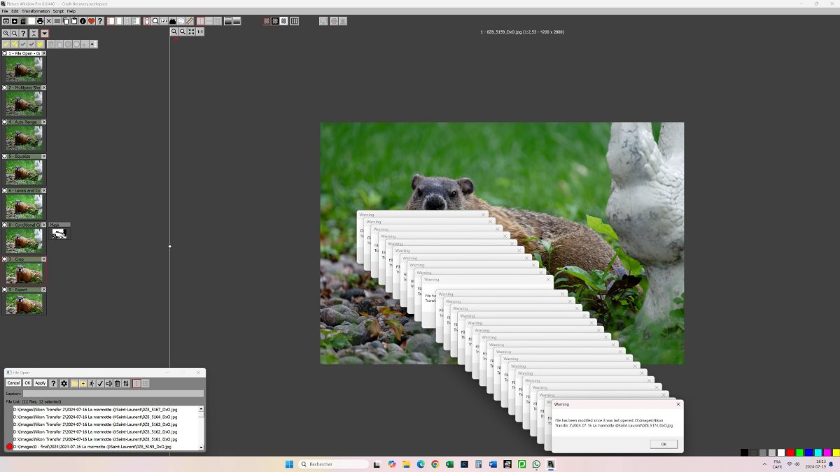 2024-07-19 PWP8 multiple warnings when rotating mouse wheel in file input list v2.jpg