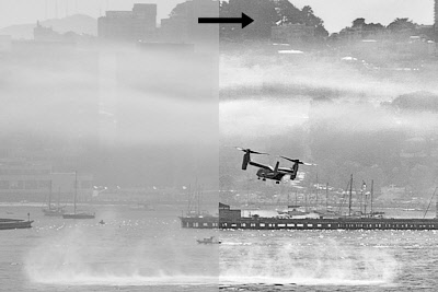 SF_Osprey2-1.JPG