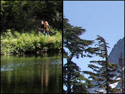 wfl_1-1area_samples_2.jpg