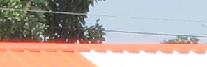 Bleeding Chroma Edge: original