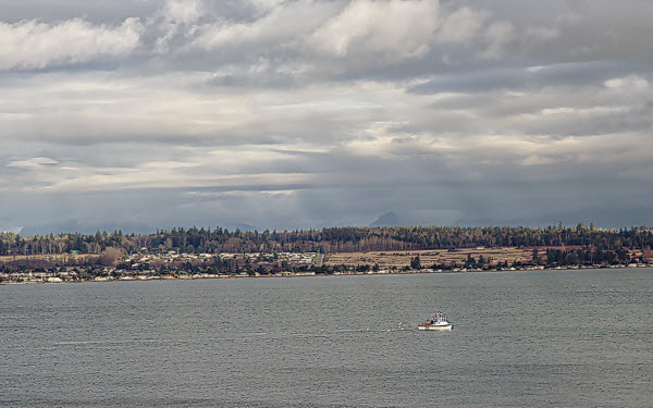 IMG_1577_ori_600px-1.jpg