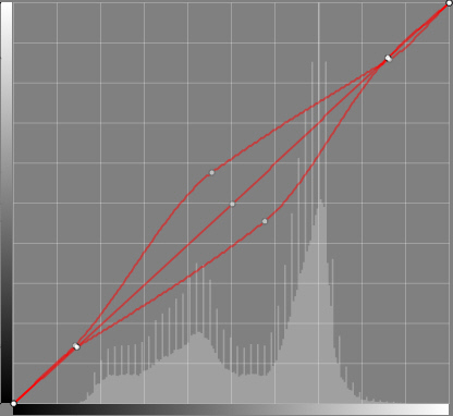 Brightness Curve.jpg