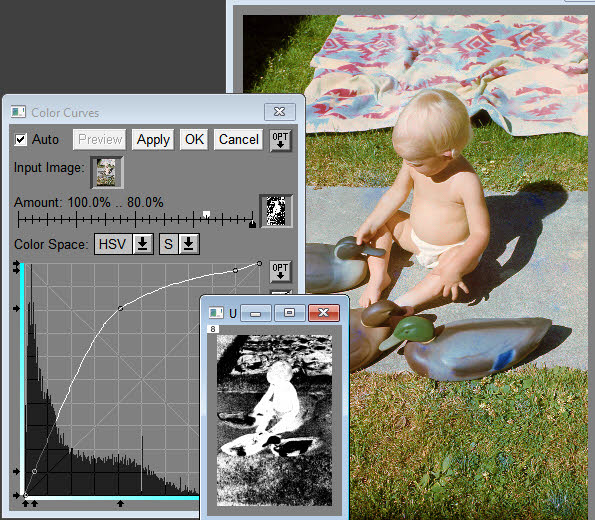Step_2_HSV-SClrCvr_VibSkinHue_Mask.jpg